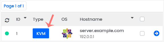 Virtualizor check details of vps