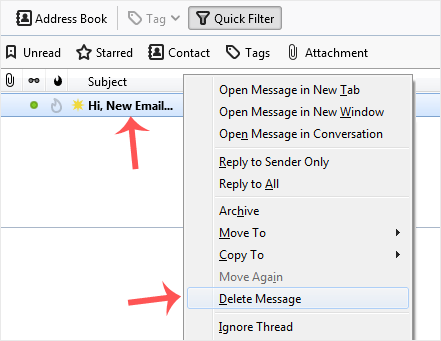 Thunderbird delete email